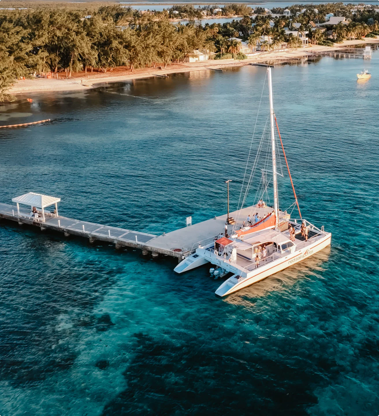 Aerial view of beach