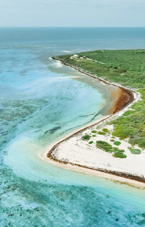 Aerial view of beach