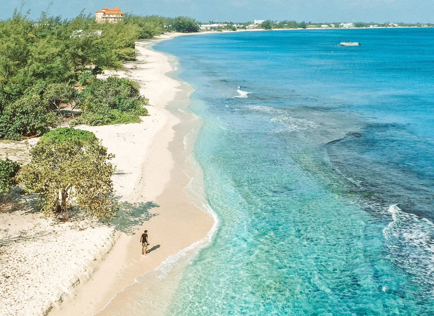 Aerial view of beach