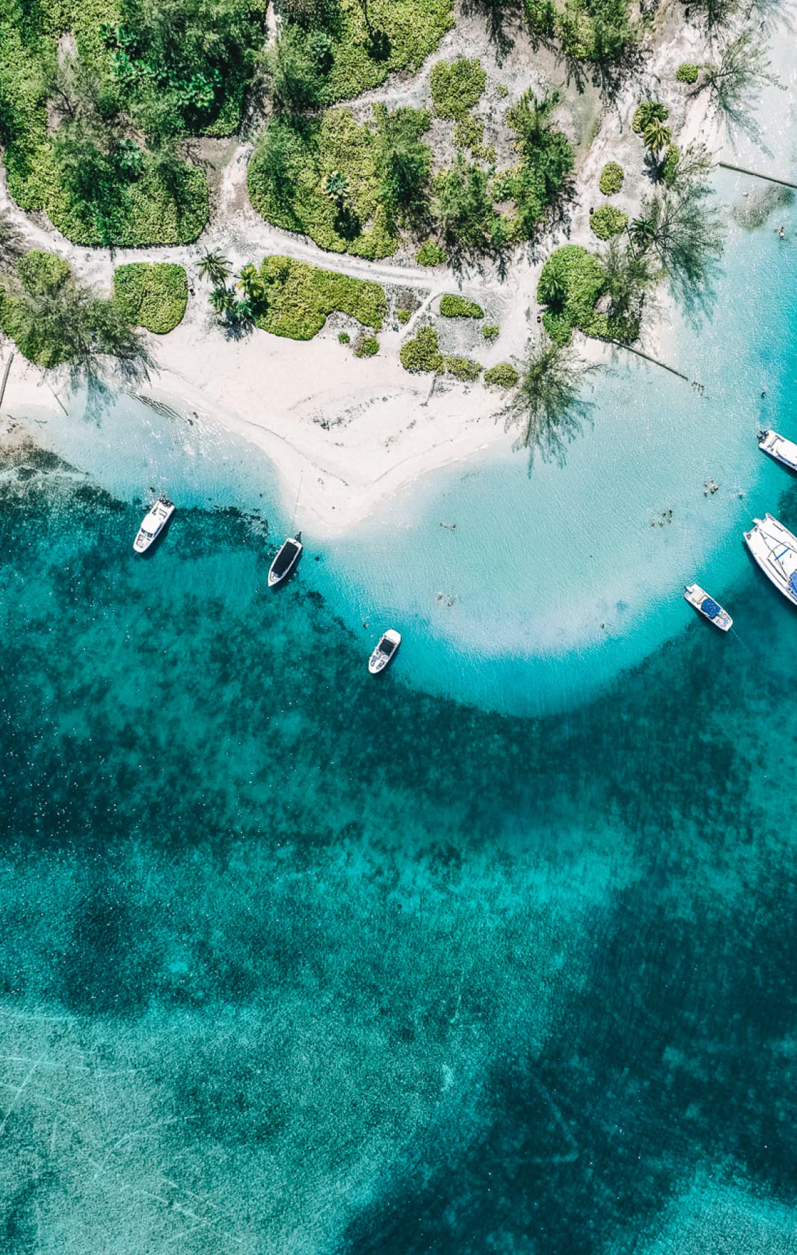 Aerial view of beach